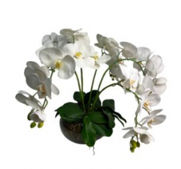 220606 - ARRANJO DESCONSTRÚIDO ORQUÍDEAS BRANCAS VASO 45X45CM